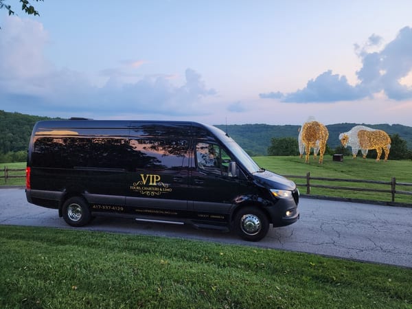 VIP Sprinter at Big Cedar Buffalo Ridge