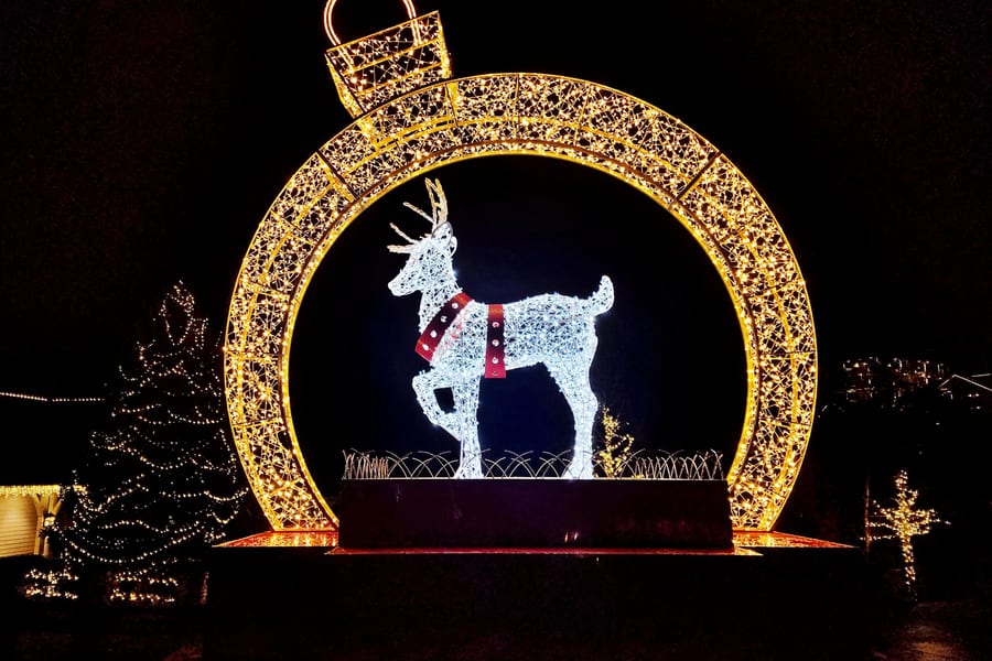 VIP Christmas Lights Tour